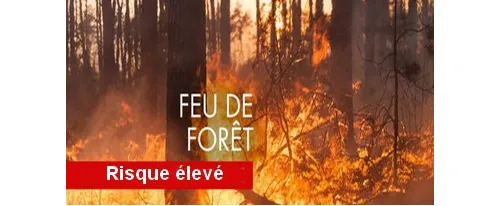 Lire la suite de l'actualité Risque élevé de feux de forêts : les mesures de prévention sont prolongées dans l’Oise jusqu’au 5 août